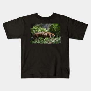 Jaguar Kids T-Shirt